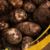 Cocoyam taro - 25Lb Box