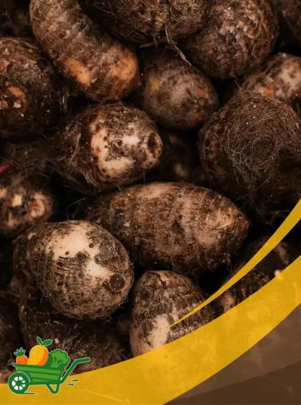Cocoyam taro - 25Lb Box