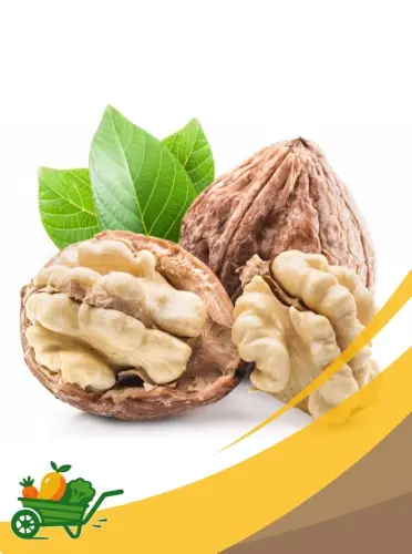 Walnut