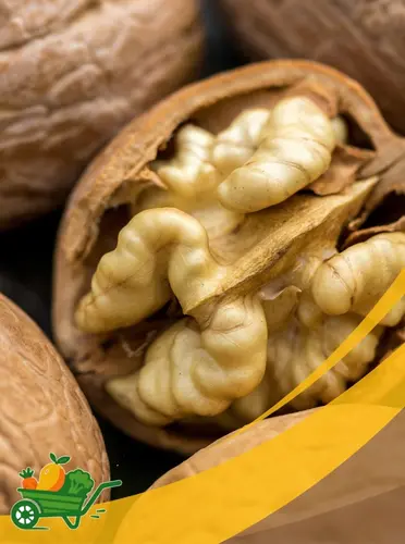 Walnut