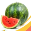 Watermelon - Box
