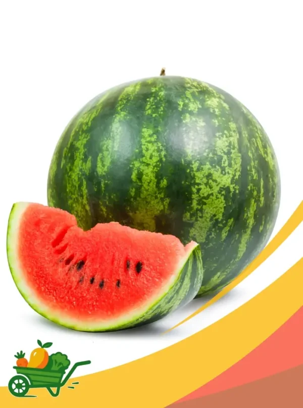 Watermelon - Box