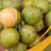 Spanish lime - 25Lb Box