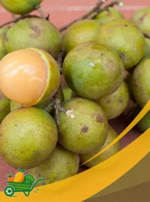 Spanish lime - 25Lb Box