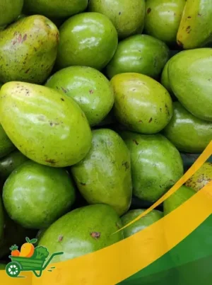 Florida Avocado - 25Lb Box