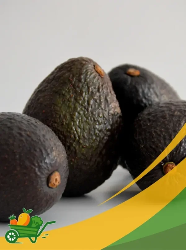 Hass Avocado - 25Lb Box