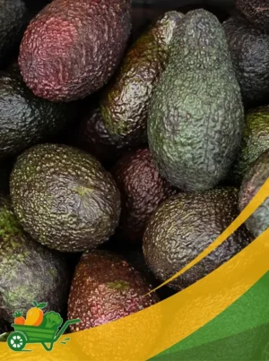 Hass Avocado - 25Lb Box