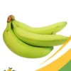 Green Banana - 25Lb Box