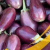 Eggplant - 25Lb Box