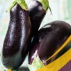Eggplant - 25Lb Box