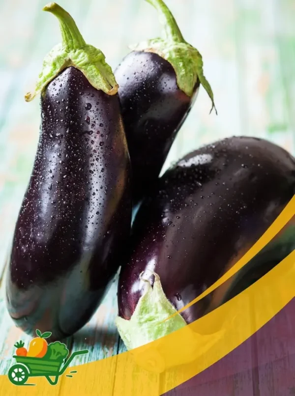 Eggplant - 25Lb Box