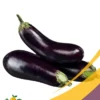 Eggplant - 25Lb Box