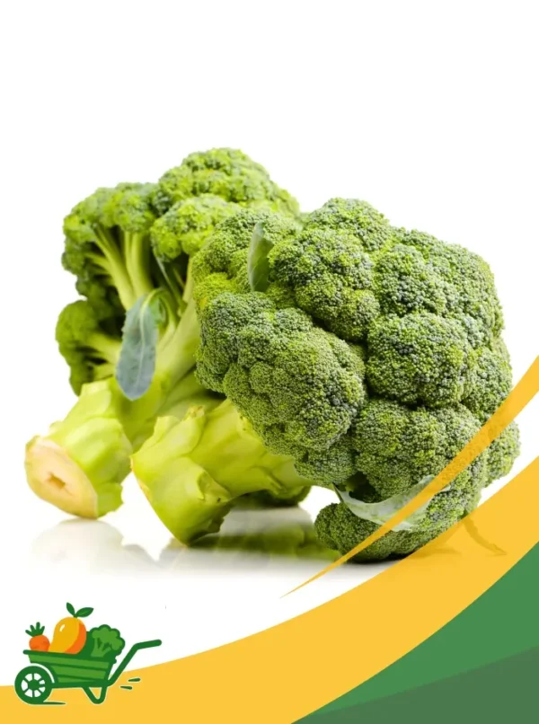 Broccoli - 25Lb Box