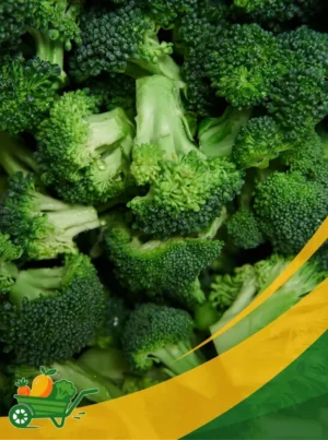 Broccoli - 25Lb Box