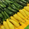 Zucchini - 25Lb Box