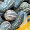 Squash - 25Lb Box