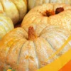 Pumpkin - 1Lb
