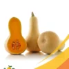 Squash - 25Lb Box