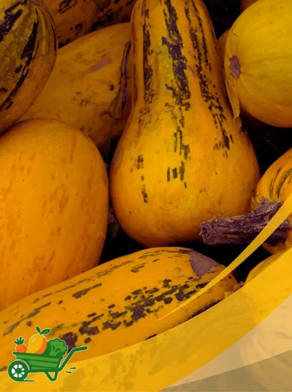 Squash - 25Lb Box