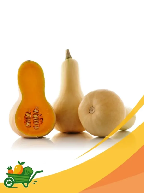 Squash - 25Lb Box