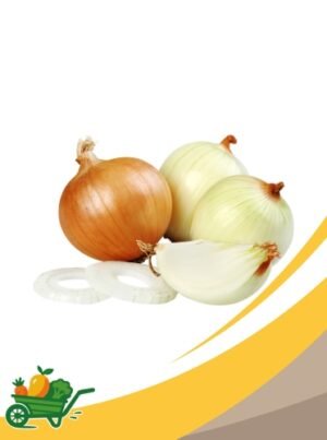 White Onion - 25Lb Box