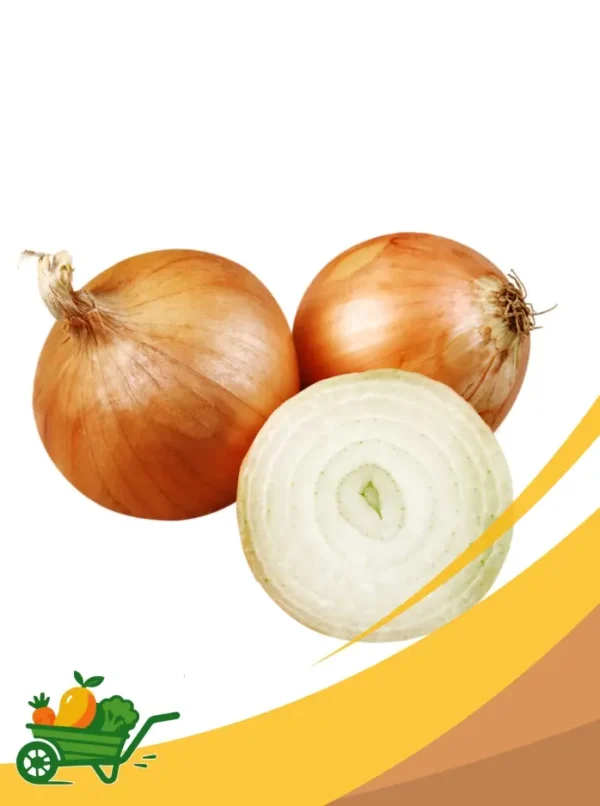 Yellow Onion - 25Lb Box