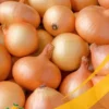 Yellow Onion - 25Lb Box