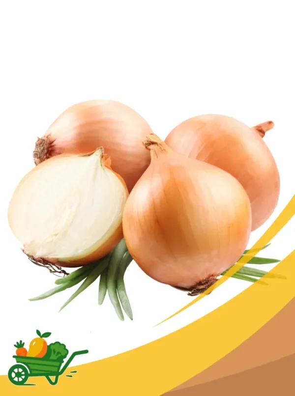 Yellow Onion - 25Lb Box