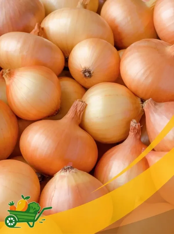 Yellow Onion - 25Lb Box