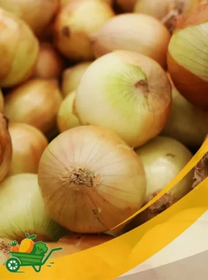 White Onion - 25Lb Box