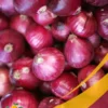 Red Onion - 25 Lb Box