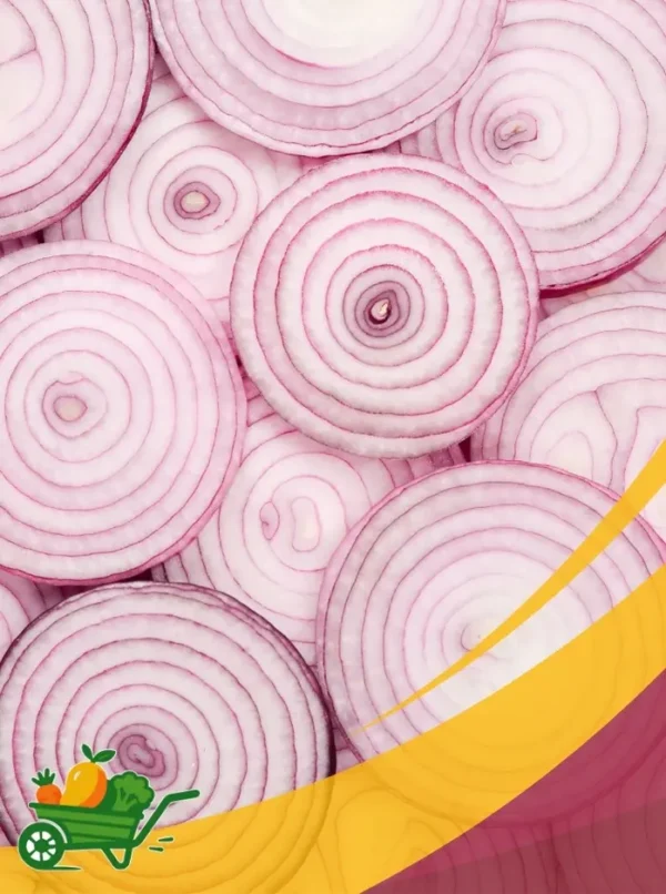Red Onion - 25 Lb Box