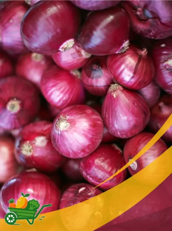 Red Onion - 25 Lb Box