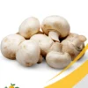 champiñones (setas) (1) Mushrooms - 25Lb Box