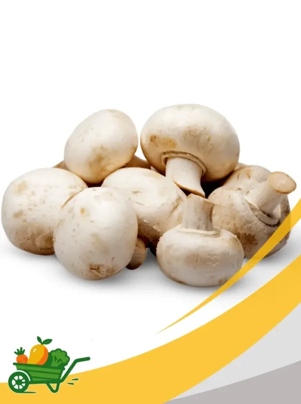 champiñones (setas) (1) Mushrooms - 25Lb Box