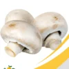 champiñones (setas) (3) Mushrooms - 25Lb Box