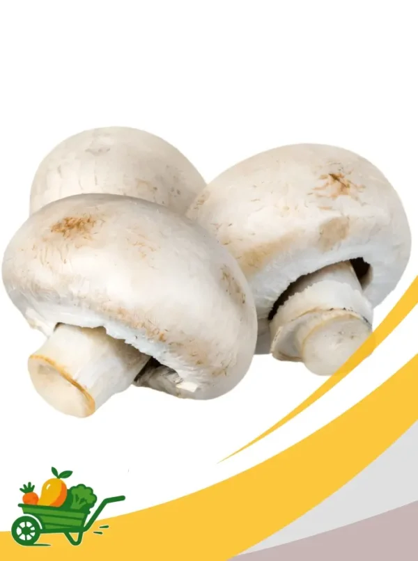 champiñones (setas) (3) Mushrooms - 25Lb Box