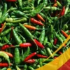 Chili Pepper - 25Lb Box