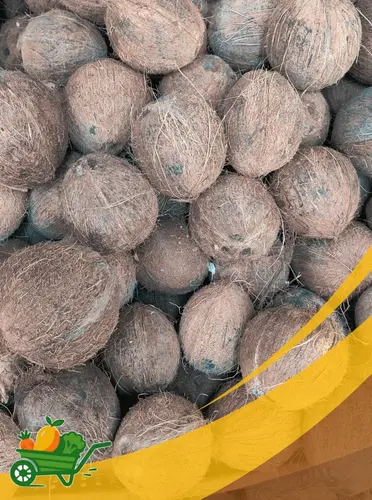 Coconut - 25Lb Box