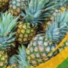 Pineapple - 25Lb Box