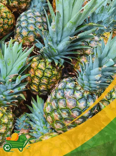 Pineapple - 25Lb Box