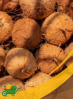 Coconut - 25Lb Box