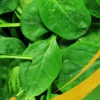Spinach - 1L Box