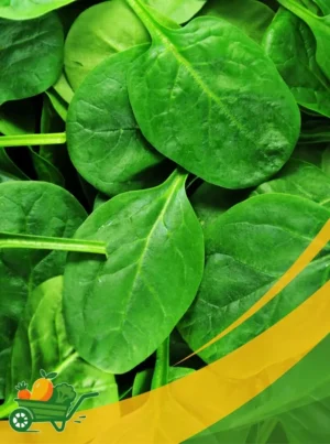 Spinach - 1L Box