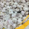 Garlic - 25Lb Box
