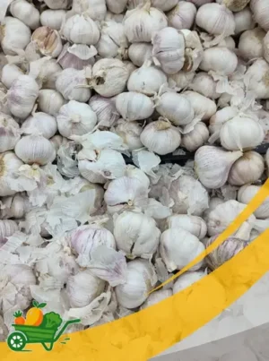 Garlic - 25Lb Box