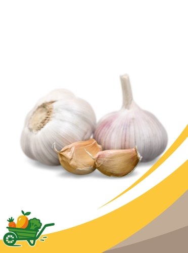Garlic - 25Lb Box