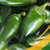 Jalapeño - 25Lb Box