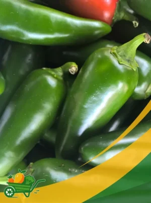 Jalapeño - 25Lb Box