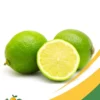 Limes
